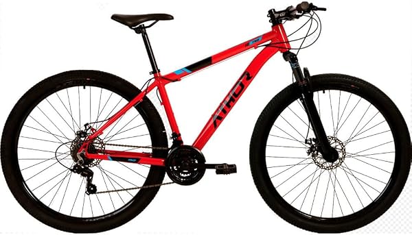 Bicicleta Athor TN-21