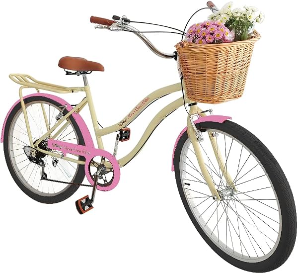 Bicicleta Dalannio Retrô Vintage