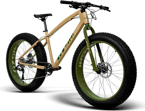 Bicicleta GTS Fat Bike