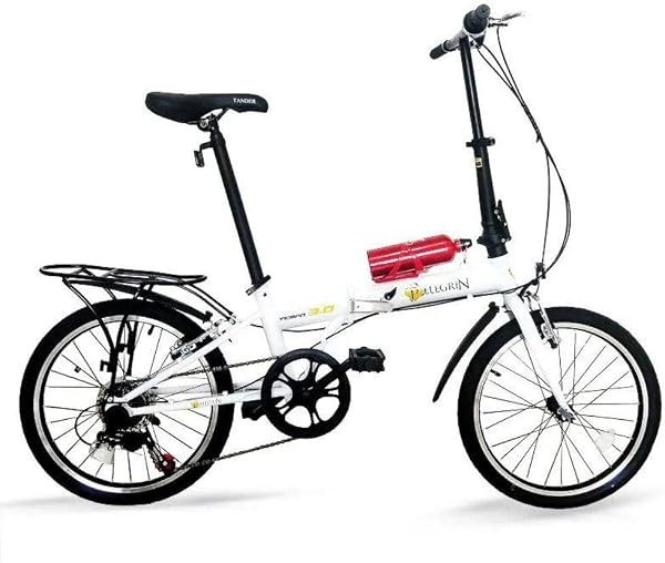 Bicicleta Pelegrin Tempo 3.0