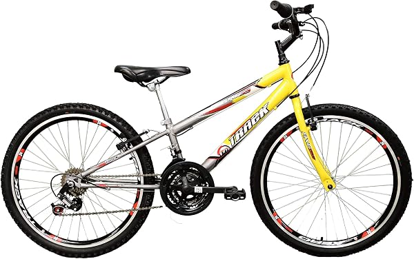 Bicicleta Track Bikes Axess