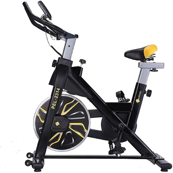 Bike Spinning Pelegrin Pel-2314